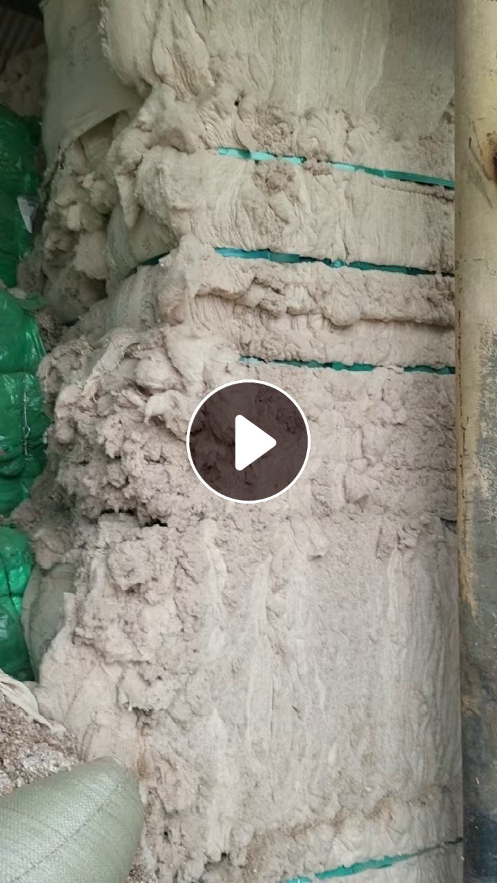长期出售气流纺下来的纯棉鱼籽棉，鱼籽棉下脚料，纺21支下来的，货在山东德州