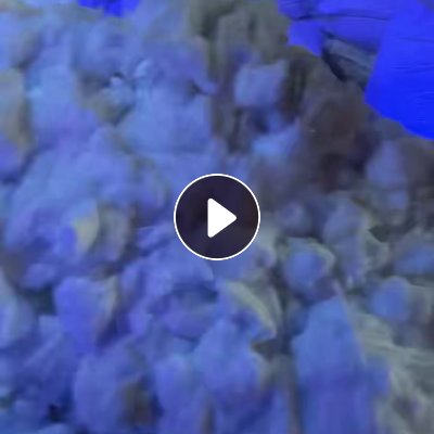 长期出售白色涤纶低弹丝，DTY涤纶丝，月供20吨左右，在浙江杭州