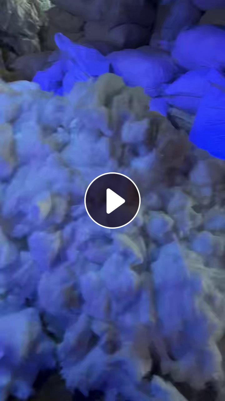 长期出售白色涤纶低弹丝，DTY涤纶丝，月供20吨左右，在浙江杭州