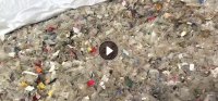 出售干粉PET瓶片，矿泉水瓶破碎料，现货60吨