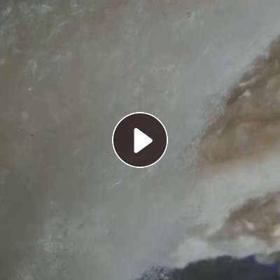 长期大量求购纯棉开花棉，要保证是纯棉，出口到泰国做河堤用