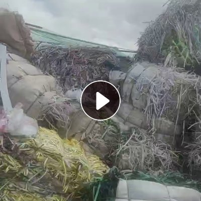 出售pp打包带毛料