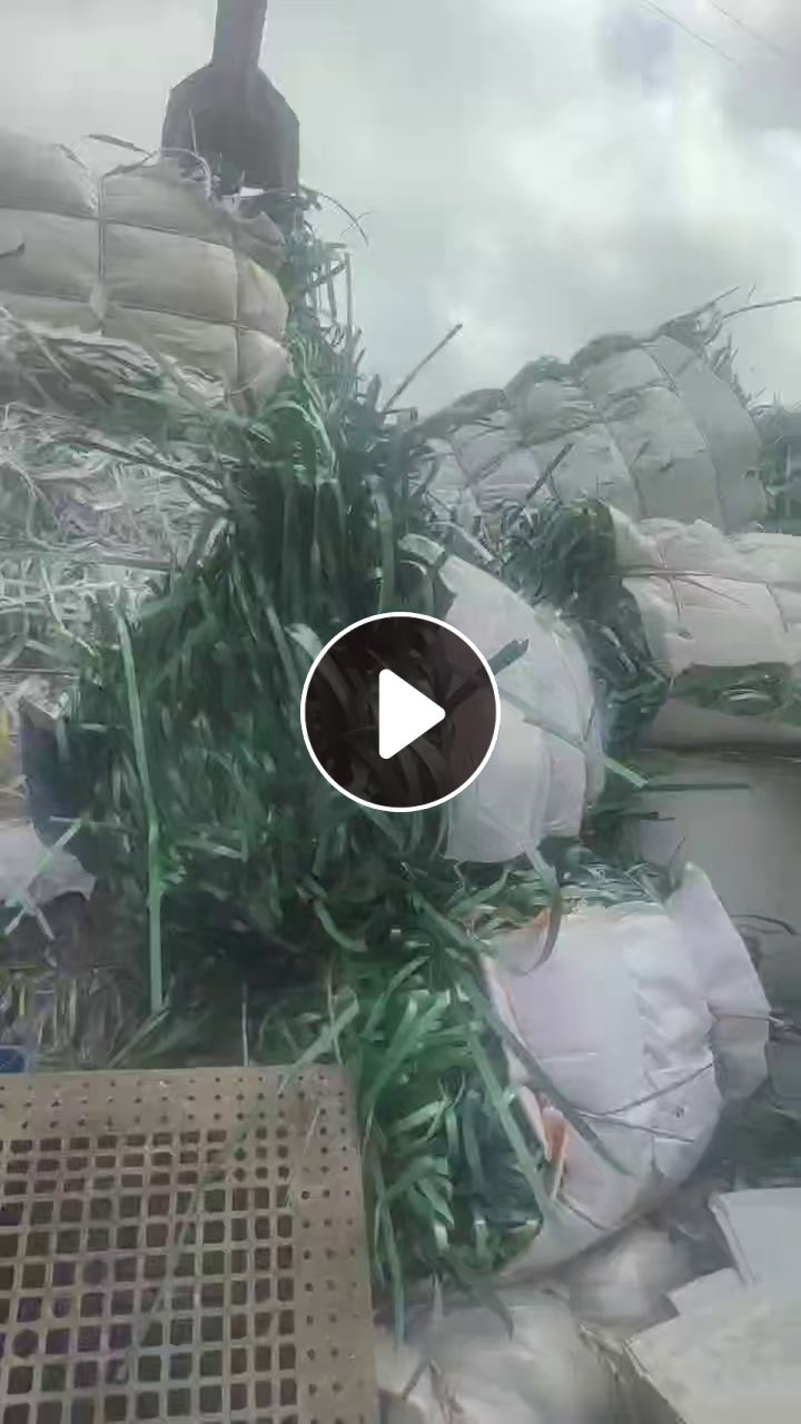 出售pet打包带毛料