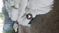 长期出售废不锈钢衬纸，有带一点油