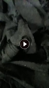 长期大量求购氨纶废布，氨纶碎布，造粒用，在河北石家庄
