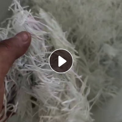 出售无碱淀粉型玻璃纤维废丝，7-9微米，加捻的，现货有9.6米一车，货在山东泰安