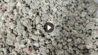 长期大量出售浅三色涤纶泡料，pet泡料，布泡，在福建三明