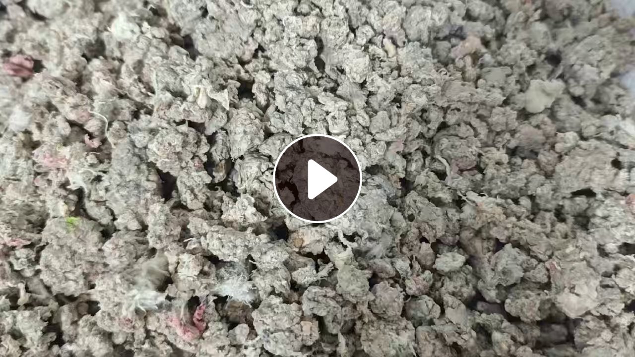 长期大量出售浅三色涤纶泡料，pet泡料，布泡，在福建三明
