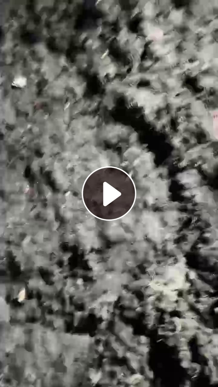 出售抛光锌灰，现货200吨