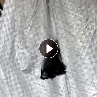 长期出售PE管道破碎料，蓝线管破碎料，含95%原生的，现货9.6一车