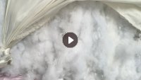 长期出售旧丝绵被，枕芯棉开好的丝棉，丝棉开花棉，货在安徽宣城