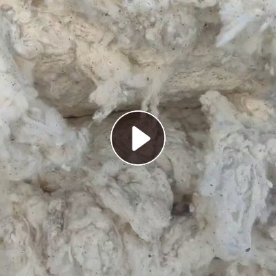 长期出售环锭纺下来的纯棉破籽棉，纺40支下来的，现货16吨，货在新疆石河子