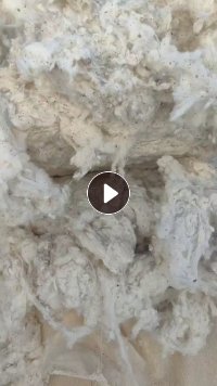 长期出售环锭纺下来的纯棉破籽棉，纺40支下来的，现货16吨，货在新疆石河子