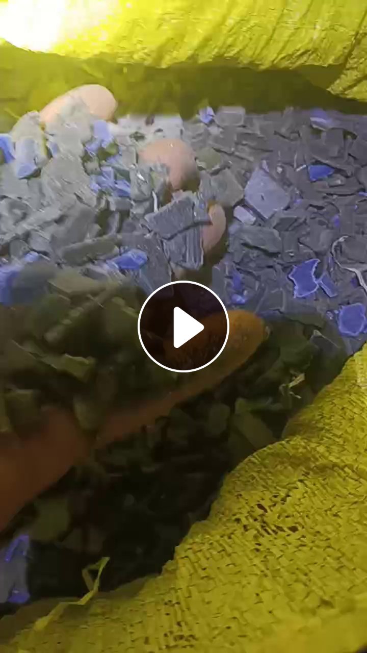 出售pp水果筐破碎料，黑蓝色混合的，没有清洗，现货3吨