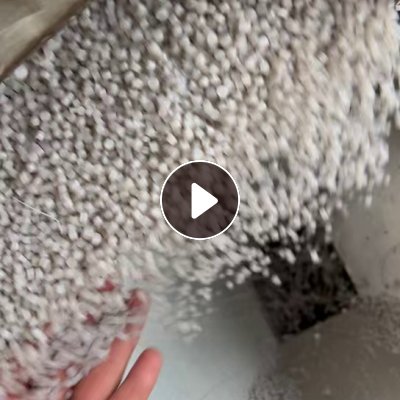 常年出售珍珠棉颗粒