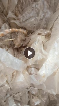 求购pp磨菇丙膜