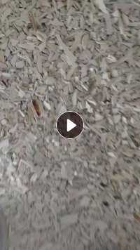 出售PVC塑钢破碎料，干破，长期都有