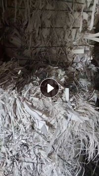 长期出售无膜白卡纸，带膜花卡纸边角料