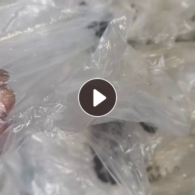 长期出售干造花高压膜，服装袋，现货十几吨