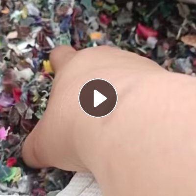 长期求购燃烧废料，水泥厂燃烧用，热值要求5000以上-6000，月需求9000吨，氯离子要求低