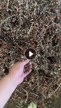 长期出售铜刨花，含铜55-70左右，现货200吨