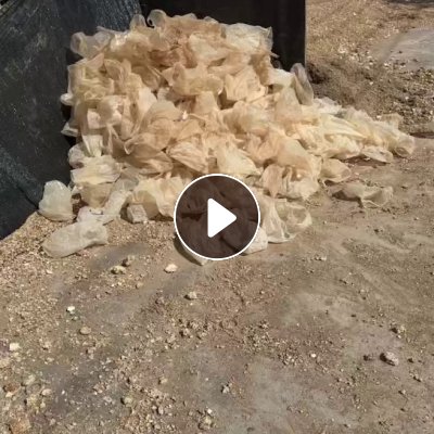 长期出售低压蘑菇袋，蘑菇膜