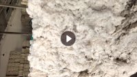 长期出售纺织厂下来的纯棉车肚棉，精梳车肚，现货800吨，在新疆阿克苏