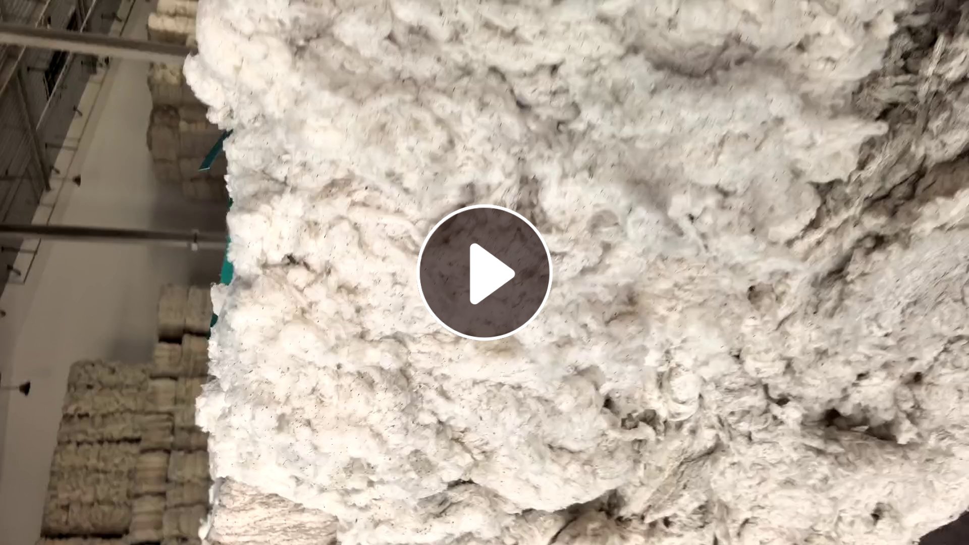 长期出售纺织厂下来的纯棉车肚棉，精梳车肚，现货800吨，在新疆阿克苏