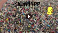 长期出售日杂水底PP破碎料