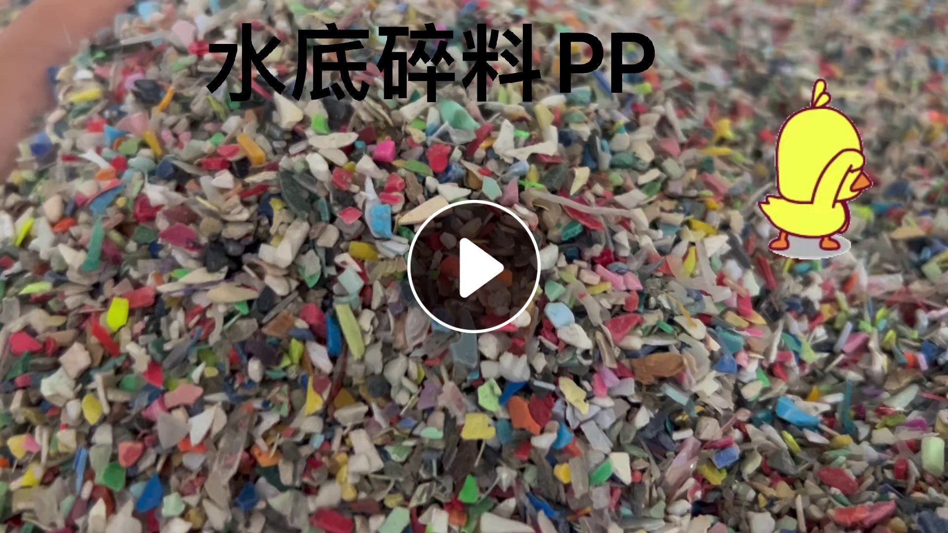 长期出售日杂水底PP破碎料