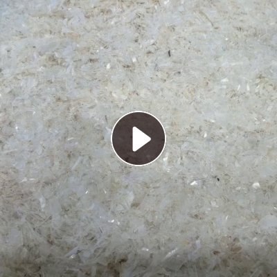 长期出售透明pp餐盒破碎料，热洗的，现货90吨