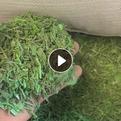 出售PET打包带粉碎料，干粉的，现货40几吨