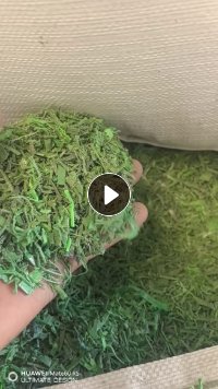 出售PET打包带粉碎料，干粉的，现货40几吨