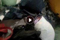 长期出售涤纶网眼布，涤纶拉丝布，有黑色，浅色，白色，货在广东广州