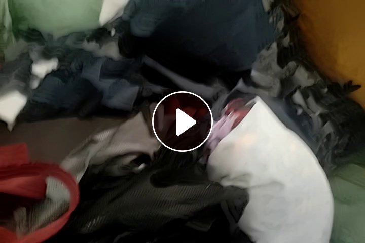 长期出售涤纶网眼布，涤纶拉丝布，有黑色，浅色，白色，货在广东广州