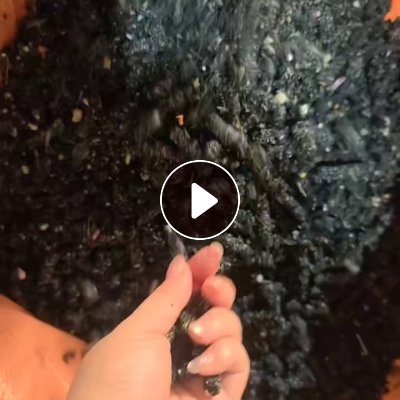出售EVA毛毛虫颗粒，含水量少，每个月有一千多吨