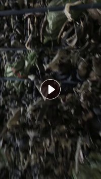 长期出售牛仔废布，涤棉牛仔废布，95棉，现货300吨左右，货在广东中山