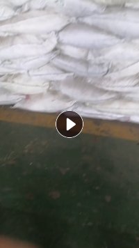 长期出售白色涤棉废布，涤棉开花料，含棉60%，现货有20多吨，货在江苏苏州