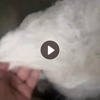 长期出售白色涤纶废丝，涤纶低弹丝，涤纶干丝，现货有50-60吨，货在江苏宿迁