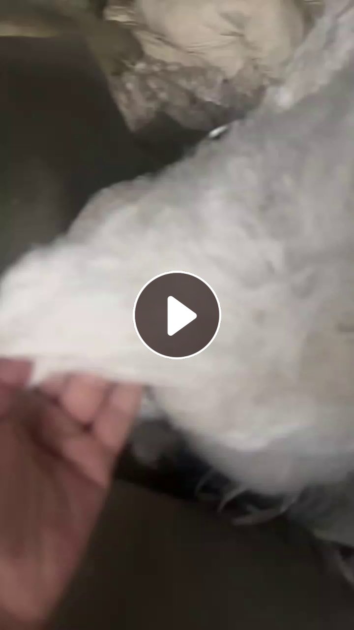 长期出售白色涤纶废丝，涤纶低弹丝，涤纶干丝，现货有50-60吨，货在江苏宿迁