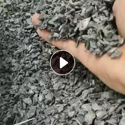 出售pe管道破碎料，蓝线管破碎料，现货一挂车