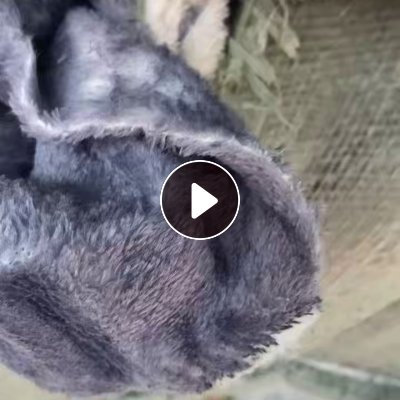 长期出售黑色涤纶针织绒布，涤纶废布，现货十几吨，在河南信阳