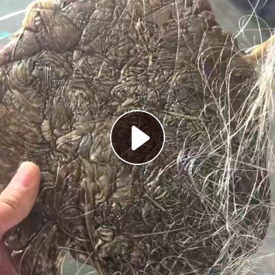 出售聚碳机头料，PC机头料