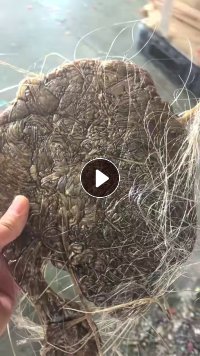 出售聚碳机头料，PC机头料