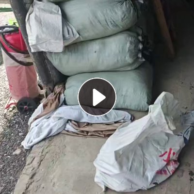 长期出售全棉牛仔废布，牛仔碎布，货在湖北武汉
