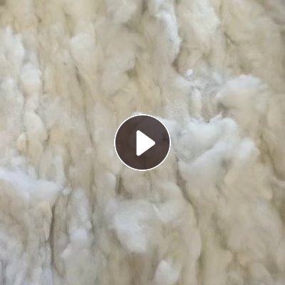 长期出售纯枕芯开花棉，枕芯棉，枕头棉，有压包，现货9.6一车，在山东济南