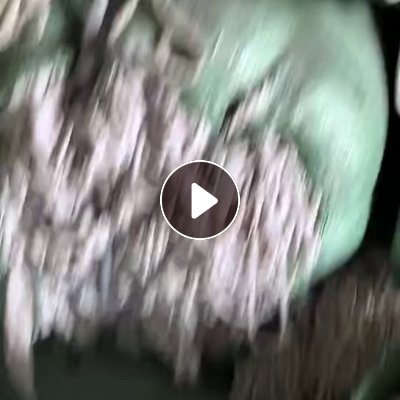 长期出售弹力棉布条，涤棉布条，两公分左右宽，货在广东揭阳