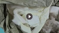 厂家长期出售床垫边角料，有海绵，丝棉，也有复合布，货在广东佛山