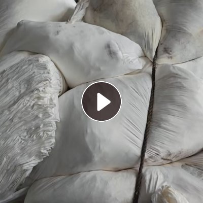 长期出售原机织的白色氨纶废布，氨纶布，可以造粒，货在浙江湖州