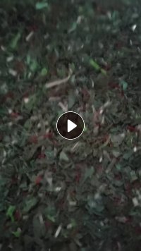 长期出售pet打包带破碎料，厂货下来的，破碎料贴片剪掉打出来的